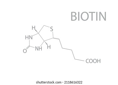 Biotin Chemical Molecular Skeletal Formula Vector: เวกเตอร์สต็อก (ปลอด ...