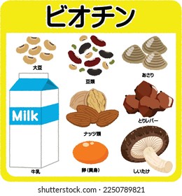 Biotin food illustration. The Japanese text means biotin, soybeans, legumes, clams, milk, nuts, chicken liver, eggs (egg yolks), shiitake mushrooms.