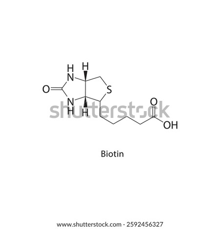 Biotin skeletal structure.Vitamin compound schematic illustration. Simple diagram, chemical formula.