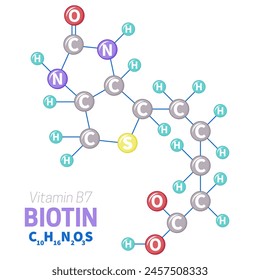 Biotina Vitamina B7 Ilustración de la estructura de la molécula