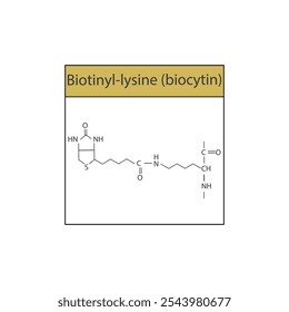 Biotinyl-lysine (biocytin) skeletal structure diagram.Vitamin B7 compound molecule scientific illustration.