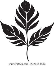 Bipinnate leaf Black And White, Vector Template Set for Cutting and Printing