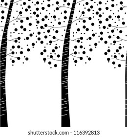Birch