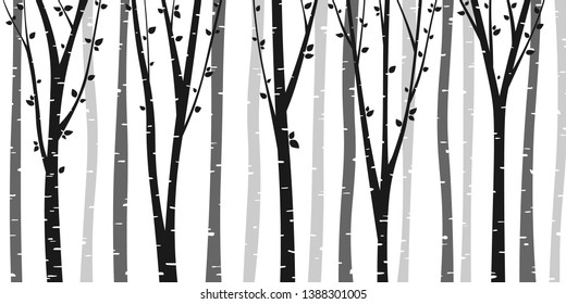 Birch or aspen tree forest design. Seamless vector background with birch forest. Interior wall decoration. 