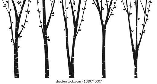 Birch or aspen tree forest design. Seamless vector background with birch forest. Interior wall decoration. 