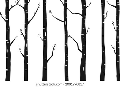 Diseño de bosques de árboles de aves o álamos. Fondo vectorial transparente con bosque de abedules. La decoración de las paredes interiores.