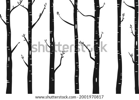 Birch or aspen tree forest design. Seamless vector background with birch forest. Interior wall decoration.