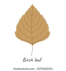 Hoja de otoño de Birch. Ilustración vectorial.