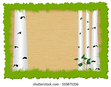 Birch in box of grass
