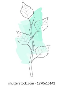 birch branch with background