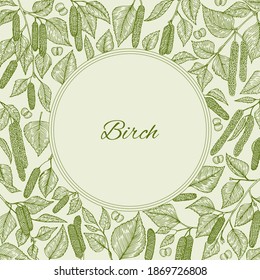 Birch branch with catkins leaves, flowers and seeds. Vector illustration. Background with place for your text. For for cosmetics, beauty products, organic and healthy food packaging, wrapping card.