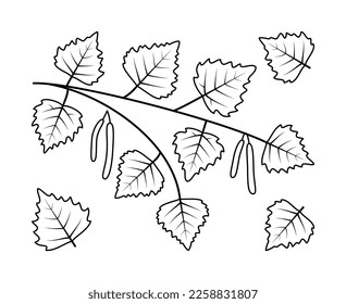 Birch branches and birch fruit vector line icons. Nature and ecology. Birch, leaves, plant, icon, drawing, fetus and more. Isolated collection of line icons birch branches on white background.