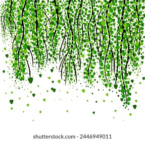 Birch branches hanging from above. hand drawing. Not AI. Vector illustration