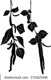 ramas de abedul con hojas y calabazas