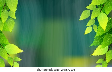 Birch branches and rainy background