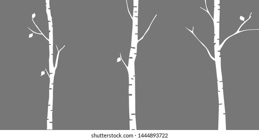 birch drawn in vector graphics