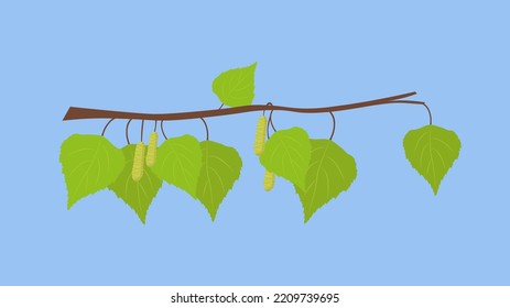 birch earrings on a blue background