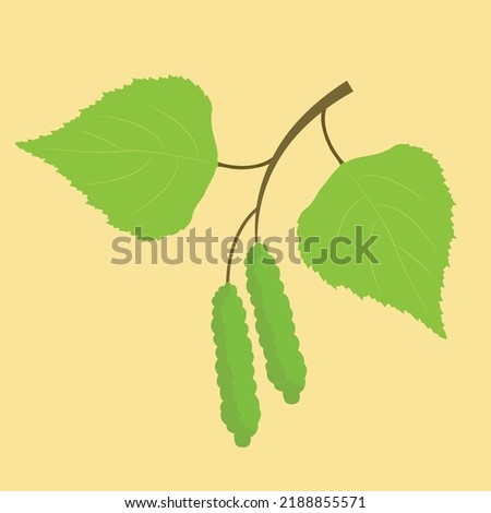 birch earrings on a yellow background