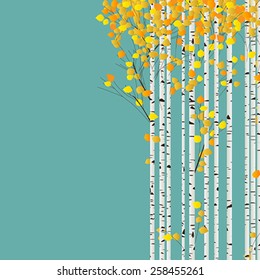 Birch forest autumn background, decorative card with room for text