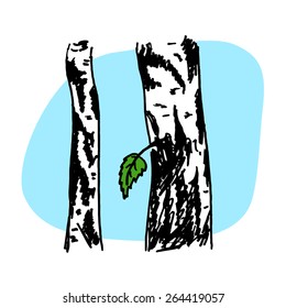 Birch forest background,  Hand drawn vector illustration. 