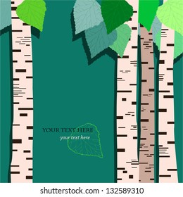 Birch forest background, vector illustration