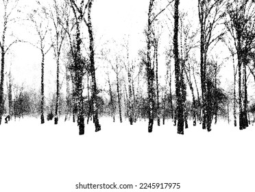 Birch forest landscape in cold winter day. Dotwork style snowy park with tree silhouettes.