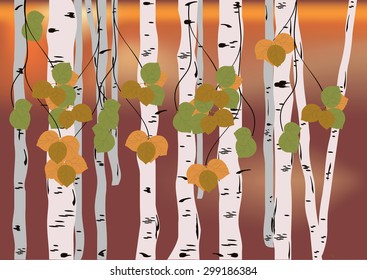 Birch forest leaves of birch on a background of autumn sunset