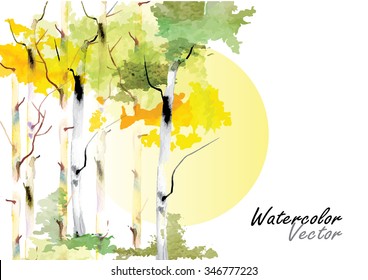 Birch Forest With The Sun  In Autumn Vector Brush Watercolor  Hand Drawn