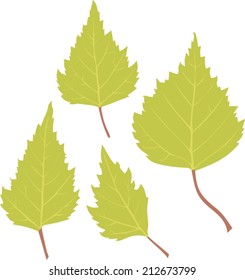 4,749 Silver Birch Leaves Images, Stock Photos & Vectors 