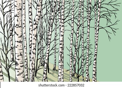 birch grove