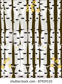 birch grove