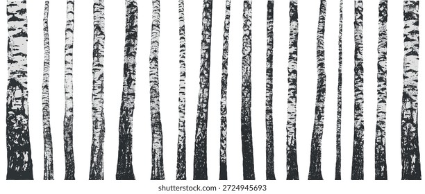 Bosque de bosque de abedules. Troncos de abedul que muestran textura natural y patrones contrastantes en blanco y negro. Ilustración vectorial