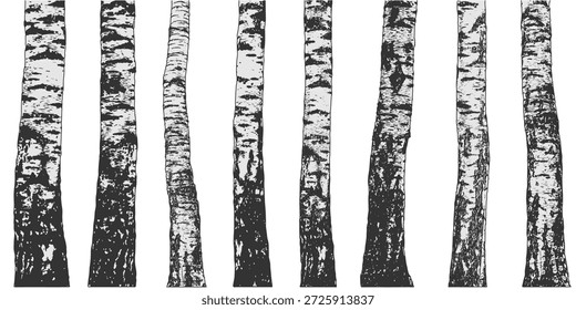Birkenwald. Birkenbaumstämme, die natürlich sind. Vektorgrafik
