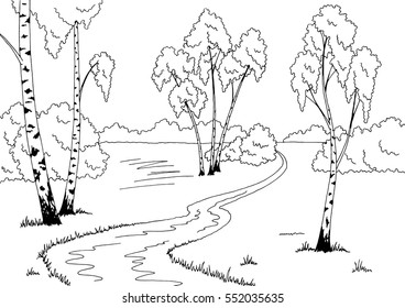 Birch grove graphic black white sketch landscape illustration vector