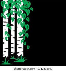 Birch Grove illustration, three trunks of birch and leaves on a black background