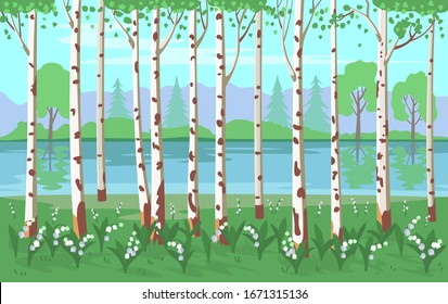 Birch grove with lilies of the valley and a river. Vector background