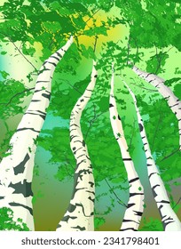 Birch grove in the morning composition, the sun through the trees. Vector art illustration