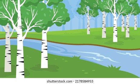 birch grove near the river