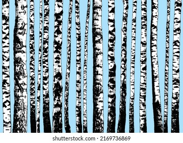 Birch grove. Seamless horizontal vector background of birch trunks. Realistic illustration of a birch forest. Isolated objects.