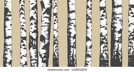 Birch Grove. Vector background. Hand drawn vector illustration in sketch style.  Nature template.