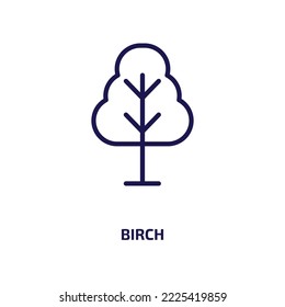 birch icon from nature collection. Thin linear birch, tree, plant outline icon isolated on white background. Line vector birch sign, symbol for web and mobile