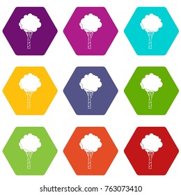 Birch icon set many color hexahedron isolated on white vector illustration