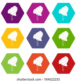Birch icon set many color hexahedron isolated on white vector illustration