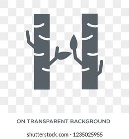 Birch icon. Trendy flat vector Birch icon on transparent background from nature collection. 
