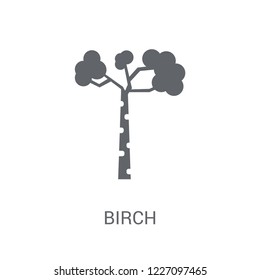Birch icon. Trendy Birch logo concept on white background from Nature collection. Suitable for use on web apps, mobile apps and print media.