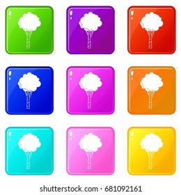 Birch icons of 9 color set isolated vector illustration