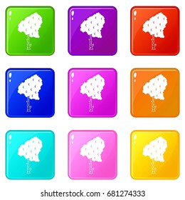 Birch icons of 9 color set isolated vector illustration