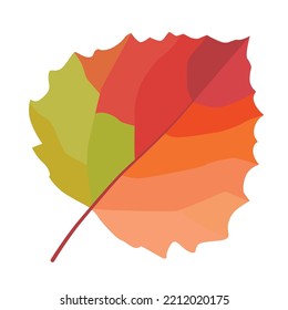 Birch leaf. Autumn leaf. Vector image.