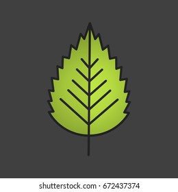 Birch leaf color icon. Forest tree leaf. Isolated vector illustration