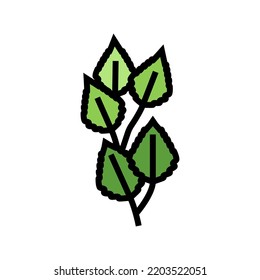 birch leaf color icon vector. birch leaf sign. isolated symbol illustration
